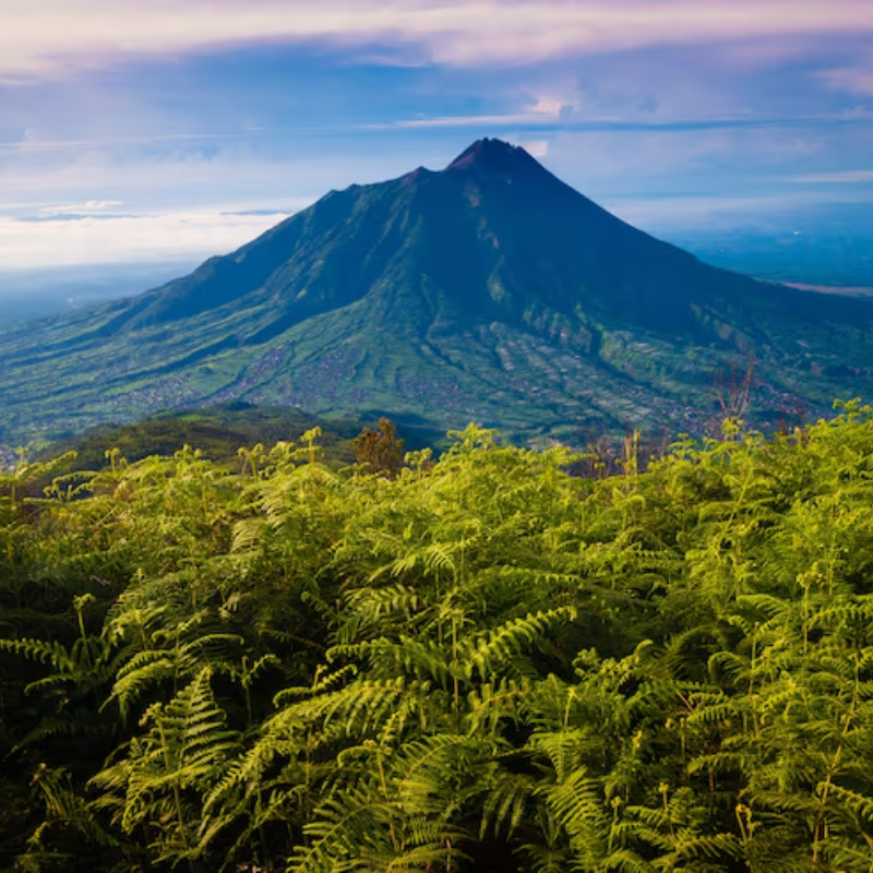 Mount Merapi Mount Merapi